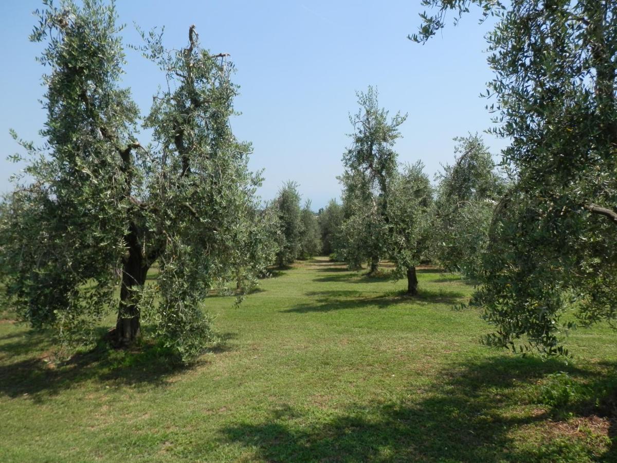 Agriturismo Fioralba Польпенацце-дель-Гарда Екстер'єр фото