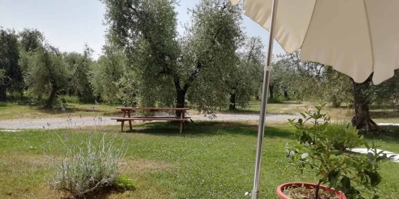 Agriturismo Fioralba Польпенацце-дель-Гарда Екстер'єр фото