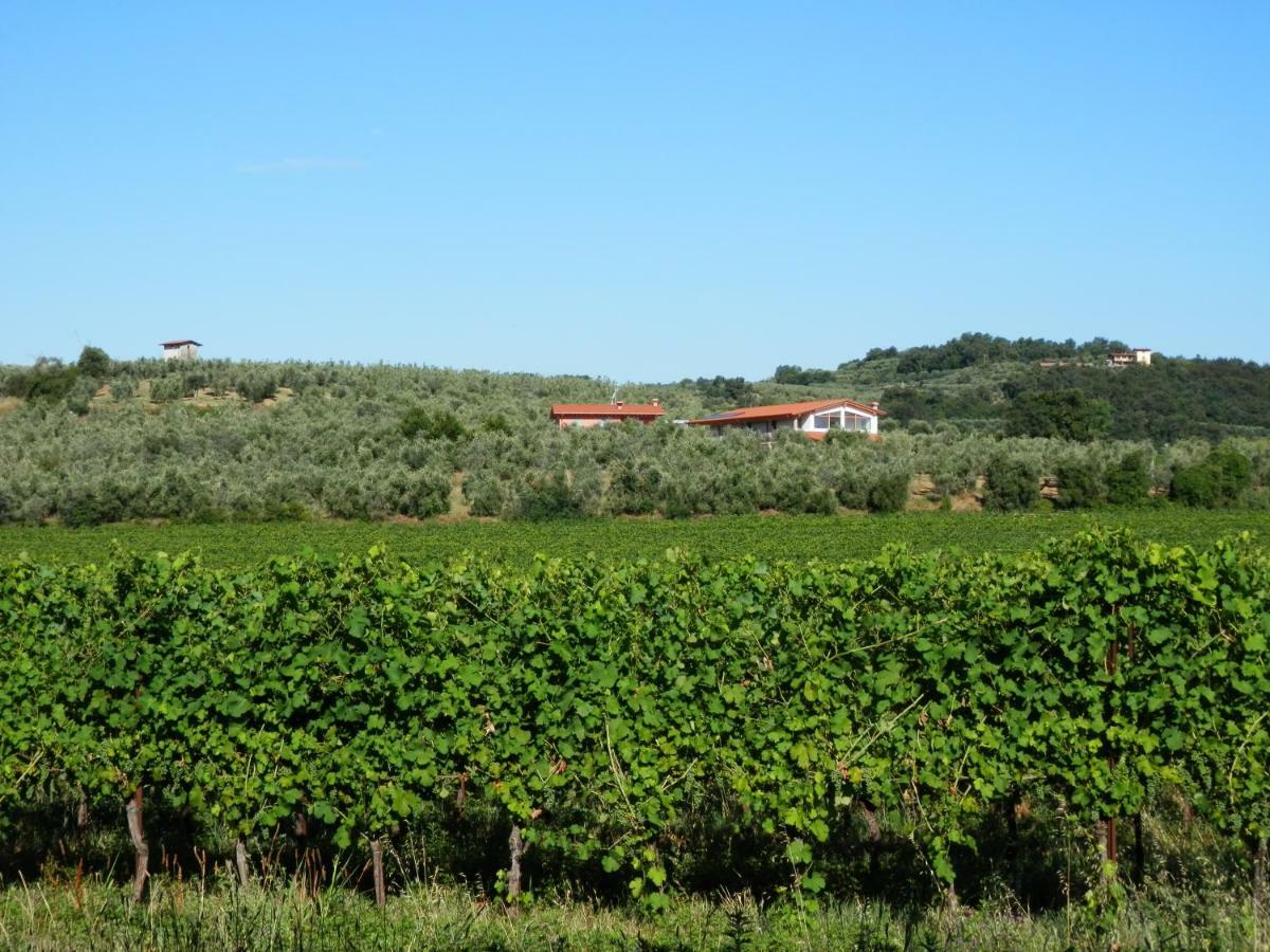 Agriturismo Fioralba Польпенацце-дель-Гарда Екстер'єр фото