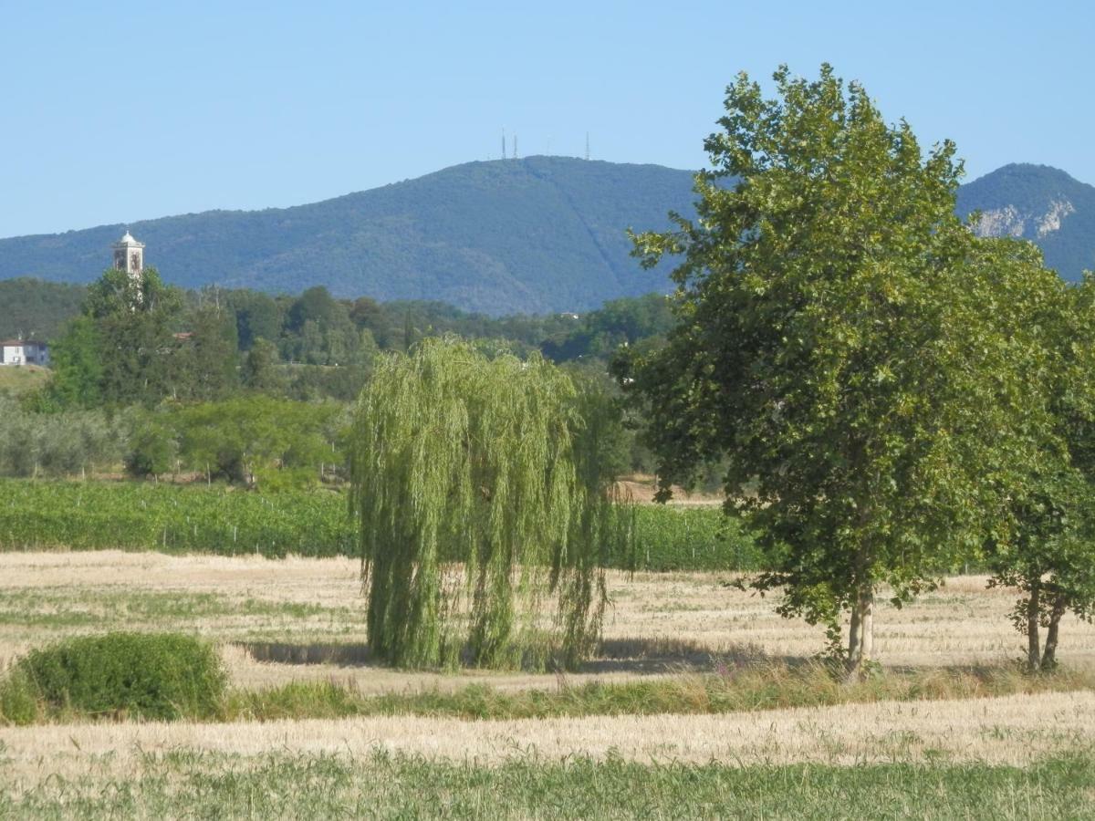 Agriturismo Fioralba Польпенацце-дель-Гарда Екстер'єр фото